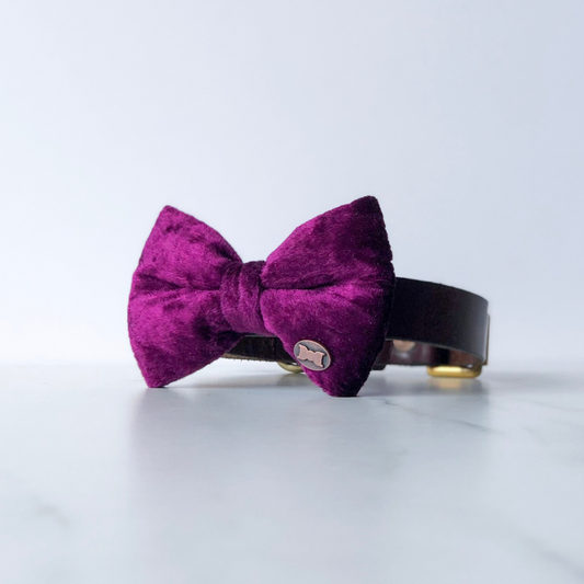 Wine red velvet dog bow tie in small