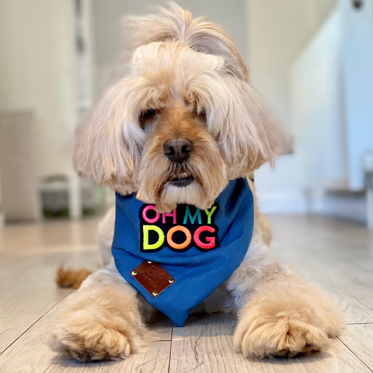 OHMYDOG Bandana Neckerchief